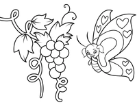 Mariposa y uvas