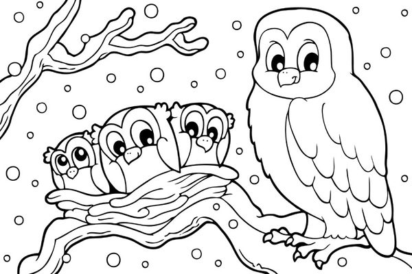 Winter Owls in Snow Coloring Page