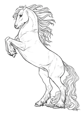 Cheval Frison