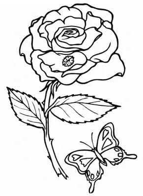 Rose with Ladybug and Butterfly