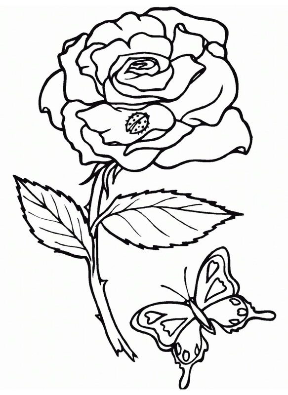Dibujo para Colorear Rosa con mariquita y mariposa