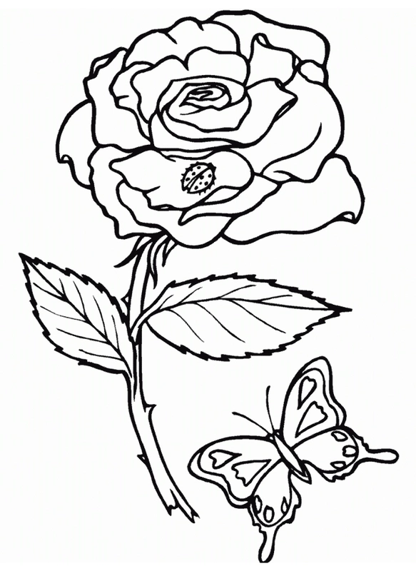 Rose with Ladybug and Butterfly Coloring Page