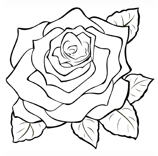 Rose Zoomed In Coloring Page