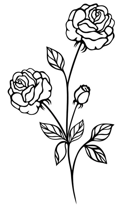 Dibujo para Colorear Rosas de pie