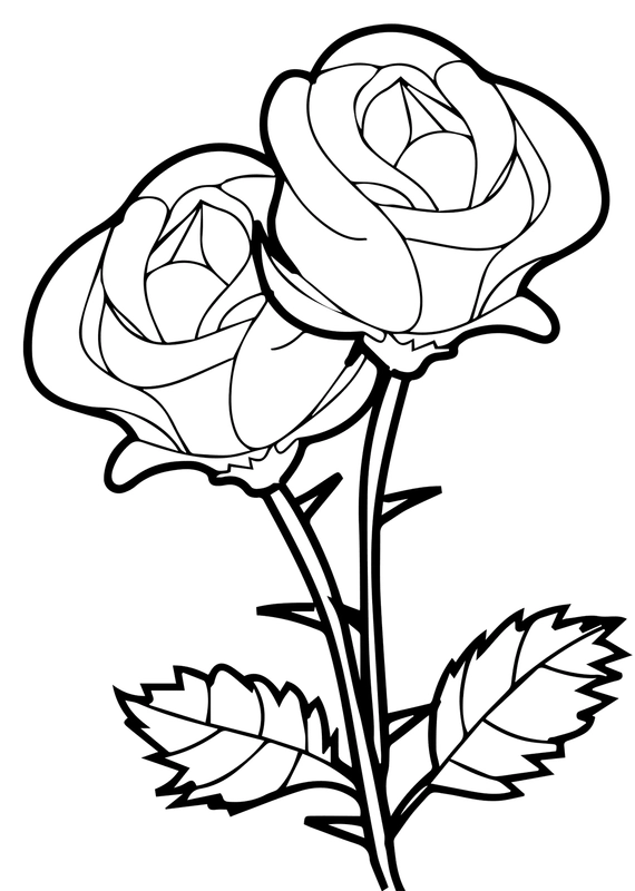 Two Roses Coloring Page