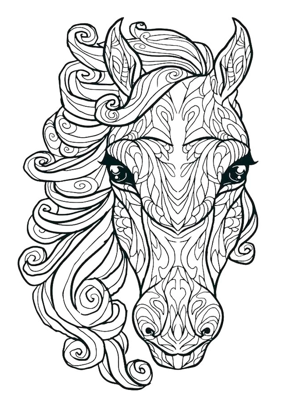 Horse Head Detailed Coloring Page