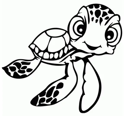 Baby Sea Turtle