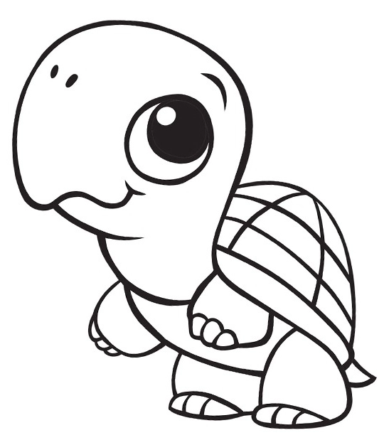 Baby Turtle Standing Up Coloring Page