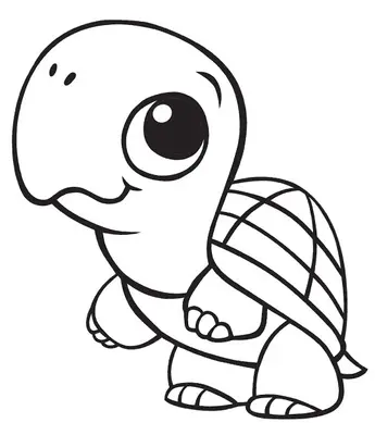 Baby Turtle Standing Up