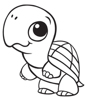 Staande Baby Schildpad