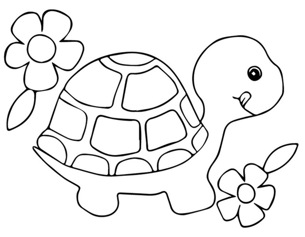Cute Turtle with Flowers Coloring Page