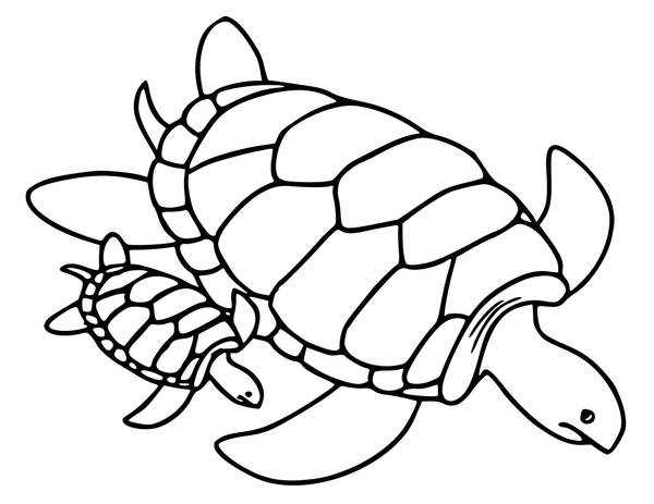 Turtle Baby and Mam Coloring Page