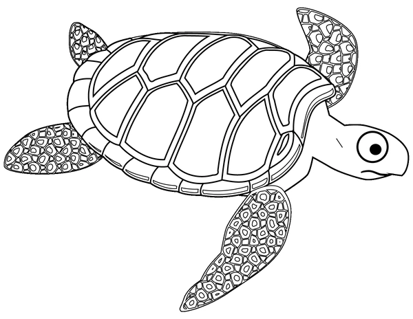 Turtle with Big Eyes Coloring Page