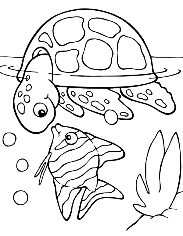 Schildkröte mit Fisch im Meer Ausmalbild
