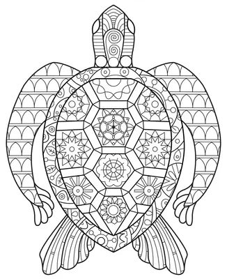 Zentangle Turtle from Above