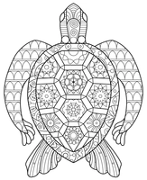 Zentangle Schildpad van Boven