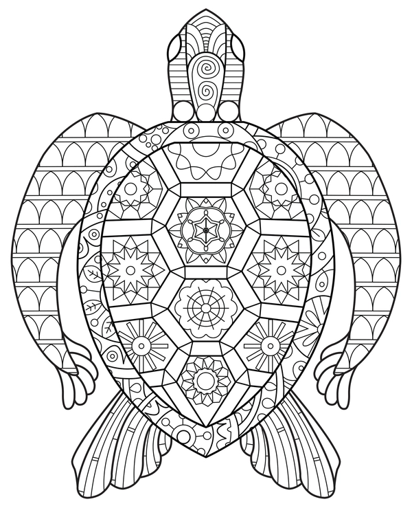 Zentangle Turtle from Above Coloring Page