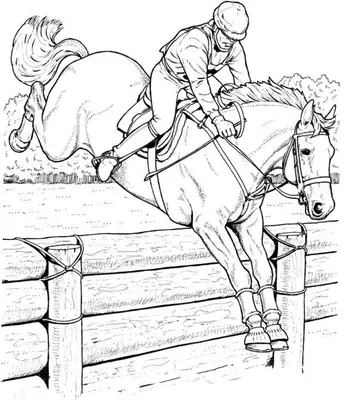Horse Jumping