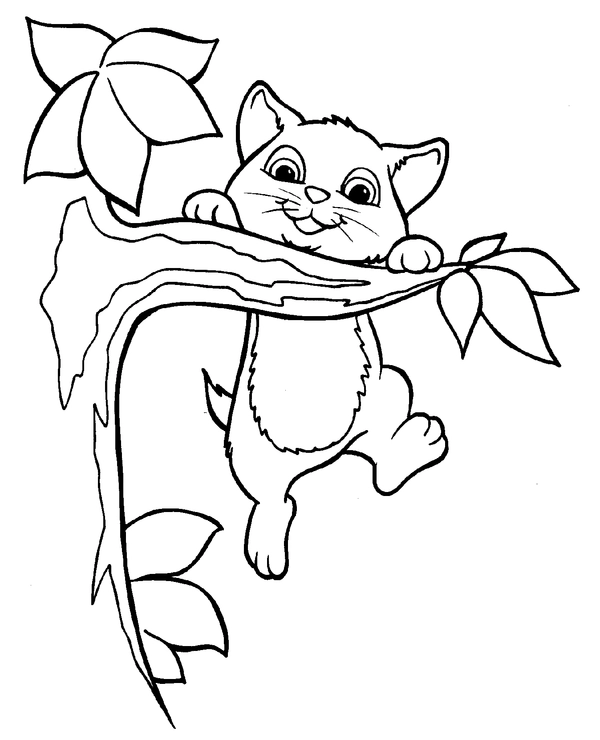 Kitten in Tree Coloring Page