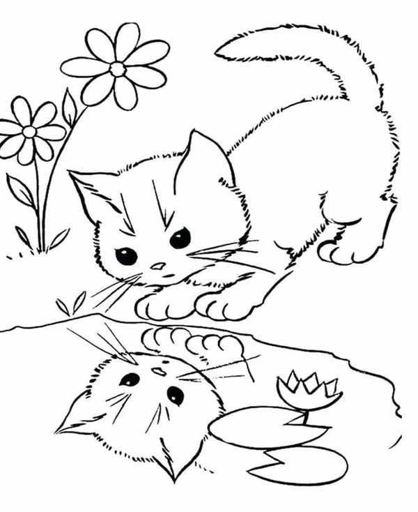 Dibujo para Colorear Gatito mirando al agua
