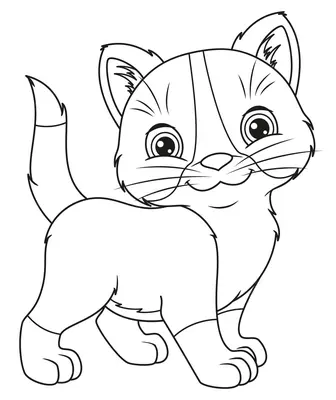 Kitten Standing and Smiling
