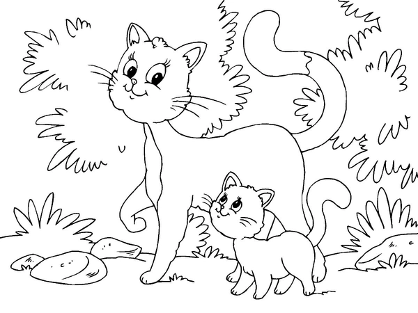Dibujo para Colorear Mamá gata y bebé gatito