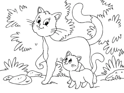Mam Cat and Baby Kitten