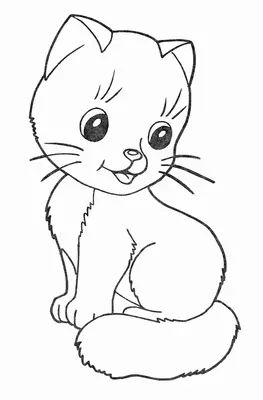 Sitting Happy Kitten