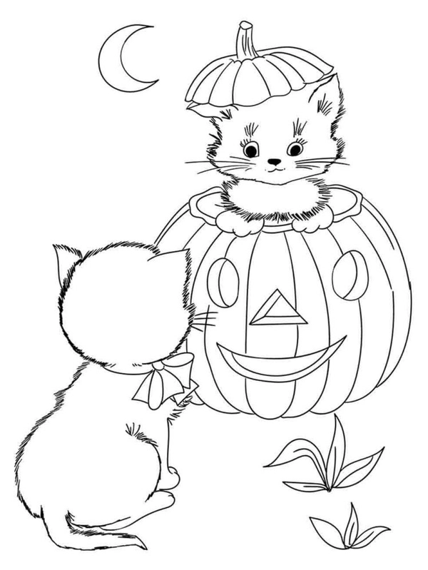 Dibujo para Colorear Gato de Halloween en calabaza