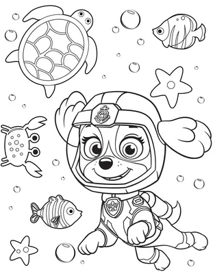 PAW Patrol Skye unter Wasser