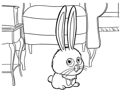 Lapin dans le salon