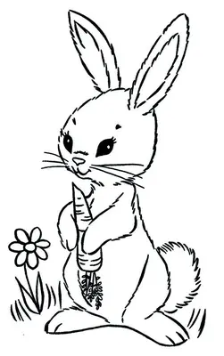 Lapin femelle tenant une carotte