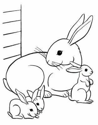 Mère lapin avec trois lapereaux