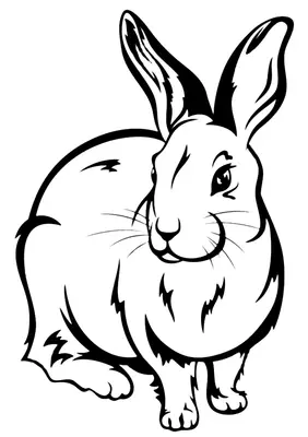 Realistic Bunny