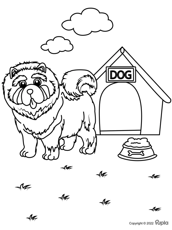 Dibujo para Colorear Perro de montaña Bernice