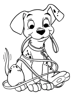 Chien Dalmatien Chiot