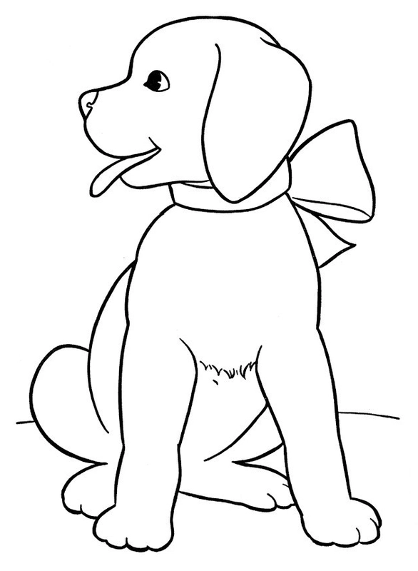 Dibujo para Colorear Perro Golden Retriever Cachorro