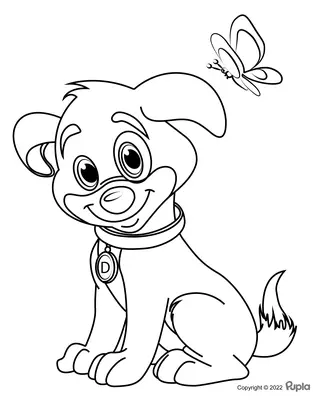 Hond Puppy met Vlinder