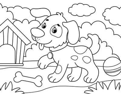 Chien avec os et balle