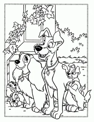 Chiens La dame et le vagabond