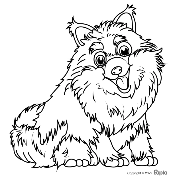 Dibujo para Colorear Perro peludo y feliz