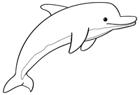 Niedlicher Delphin