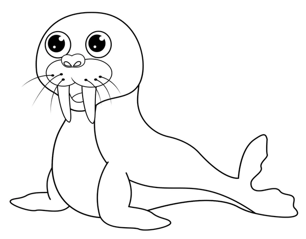 Dibujo para Colorear Bonita foca