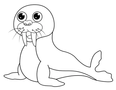 Bonita foca