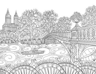 Adults Bridge