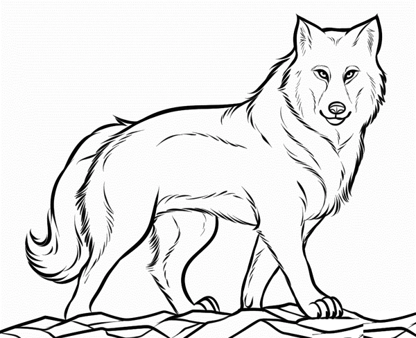 Pretty Proud Wolf Coloring Page