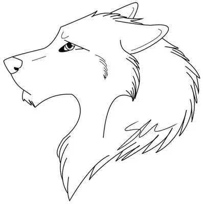 Cabeza de lobo de lado