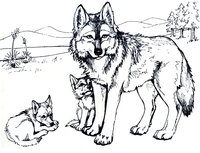 Loup avec deux bébés loups