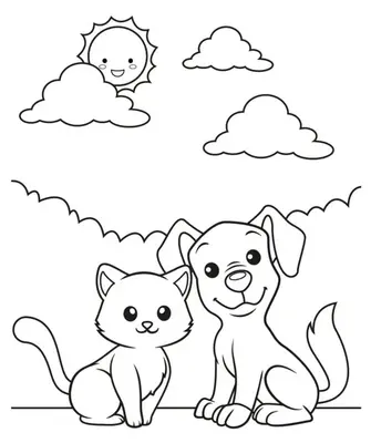 Chat et chiot assis au soleil