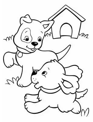 Puppy's Samen Rennen